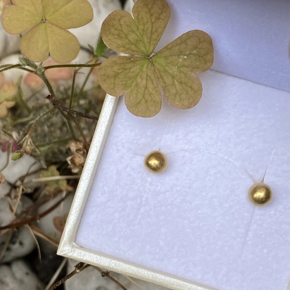 Zwei goldene Ohrringe in einer Schmuckschatulle, umgeben von kleinem, grünem Kleeblatt.